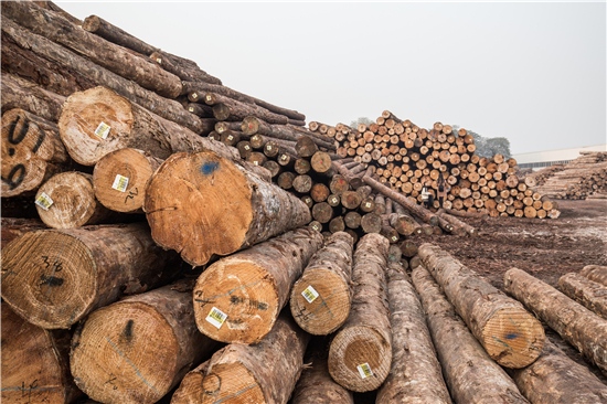 美国木材价格三个月暴跌70%2021年下半年木材价格市场走势